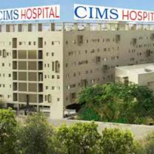 order now kings pizza chicken fingers 1 (24)